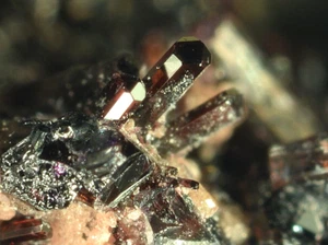 MANGANVESUVIANIT & HAUSMANIT aus Kuruman, Südafrika *SELTEN* 1,6 cm - Bild 1 von 5