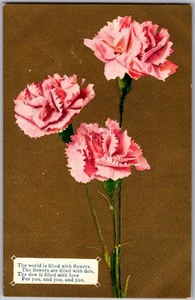 Antique Postcard Pink Carnations 1910s - Picture 1 of 2