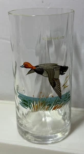 Ned Smith Optic Drape "REDHEAD" Ente Wasservögel Becher/Glas - Bild 1 von 3