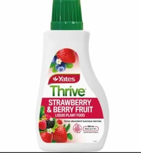 Thrive Strawberry & Berry Plant Food Liquid Concentrate 500ml Fertliser =150L - Picture 1 of 2