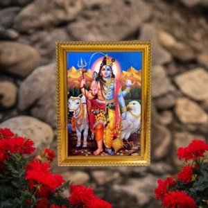 High Quality Ardhanarishwara Wooden Photo Frame God Shiva Parvati Picture 8 x 12 - Picture 1 of 3