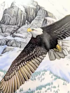 The Eagle Soars Hamilton Collection Majesty Of Flight Series Thomas J Hirata - Imagen 1 de 9