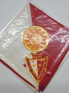 Tamet Lodge 225 R-6 Copper points on Orange Background & A-1 on Neckerchief - Picture 1 of 1