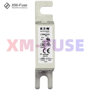 1 PIEZA Eaton Bussmann 170M1316 FUSIBLE 80A 690V fusible de cuerpo cuadrado de alta velocidad - Imagen 1 de 5