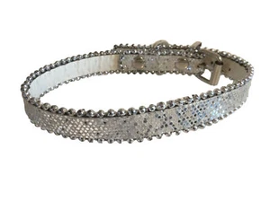 "Cuello de perro de plata brillante ajustable pequeño 10-13""" - Imagen 1 de 1