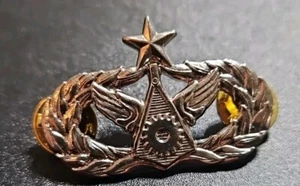 GENUINE U.S. AIR FORCE BADGE: CIVIL ENGINEER: SENIOR - MIDSIZE - Picture 1 of 3