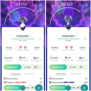 Indeedee (non shiny) Male and Female in a Mini P T C 100K Stardust - Picture 1 of 1