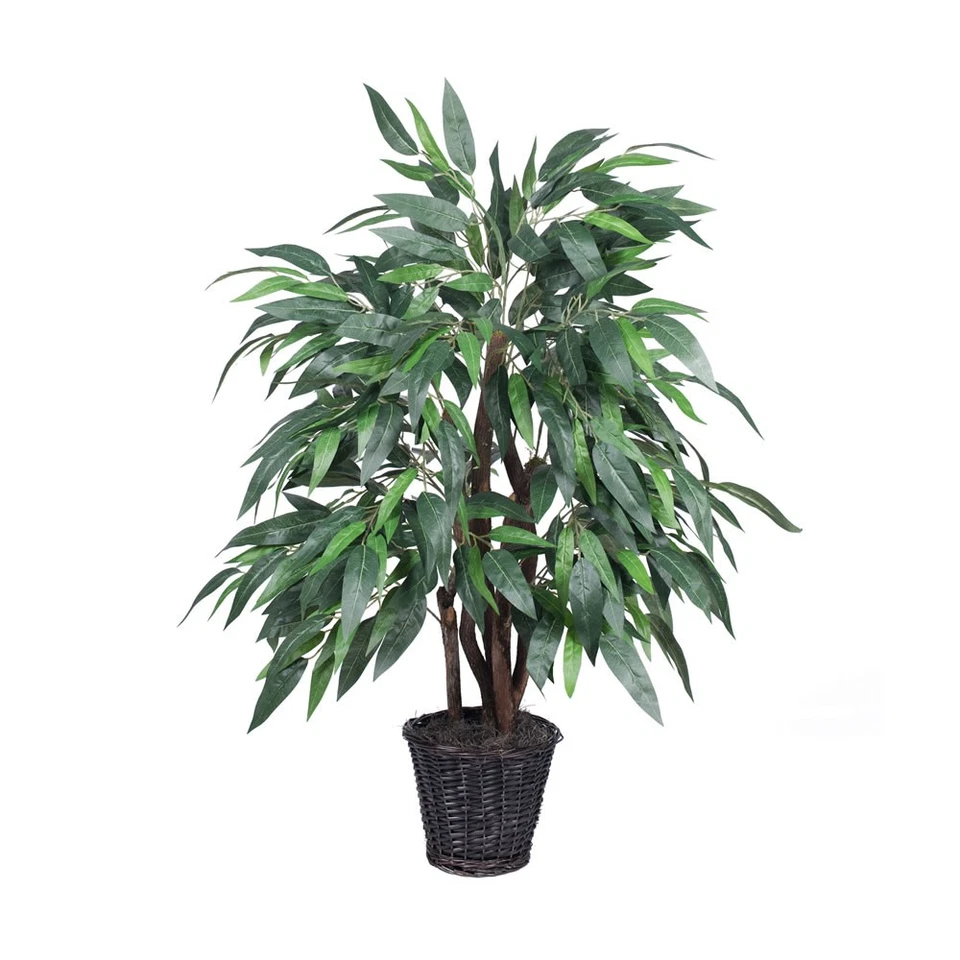 Vickerman 4' Mango Extra Completo - TXX2840 Foto 1 de 1