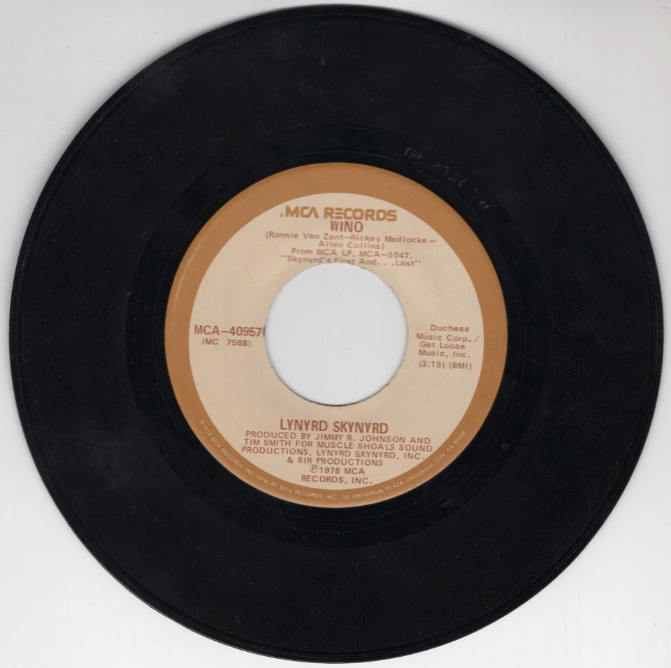 LYNYRD SKYNYRD  Down South Jukin' / Wino  RARE 45 RPM Vinyl Record 7" 1978 HTF - Image 1 of 2