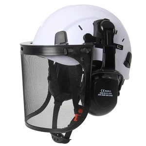 Kettensäge Schutzhelm Forst Schutzhelm mit Visierbrille und Gehörschutz - Bild 1 von 3