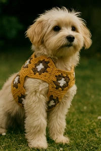 Retro Granny Square Dog Coat – Handmade Crochet Style for Chic Pets - Picture 1 of 4