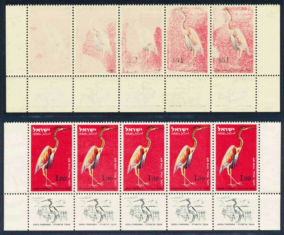 ISRAEL 1963 ERROR, EN MUY BUEN ESTADO MNH/** "Impresión roja en la parte posterior" 1,00 IL tira de pájaros, Sc C36 Foto 1 de 1