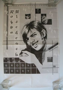 Robyn Hitchcock Groovy Decay 1982 Store Poster 20"x30" MIkki Rain Design - Bild 1 von 10
