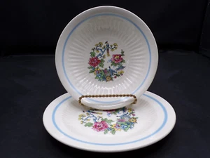 2 Stück Vintage Royal China USA Paradiesvogel Dessertschale 5" Brotteller 6" F25 - Bild 1 von 8