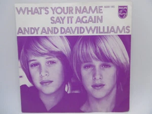Andy and David Williams, What's Your Name, Holland Philips 6000 145  7" 1974 - Imagen 1 de 4