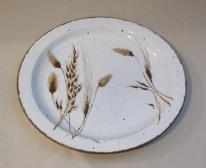Speiseteller Midwinter Stonehenge Wild Oats Wedgwood braun Punkte Borte England - Bild 1 von 4