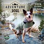 Adventure Dogs 2024 Wall Calendar: Hiking, Camping, and Traveling with