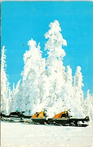 Snowmobiling in Montana MT POSTCARD - Picture 1 of 2
