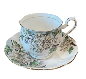 Royal Albert - Flower of the Month - Cup and Saucer - Hawthorn - Hand Painted - Picture 1 of 18