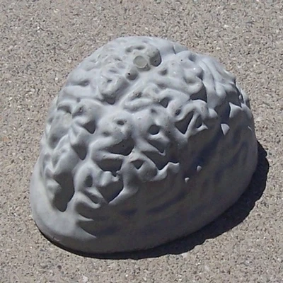 Estatua de hormigón cerebro humano 7,75" - Cemento Halloween patio jardín decoración Foto 1 de 4