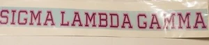 LONG Sigma Lambda Gamma Sticker of Letters for Outside Glass, Car, SUV - Picture 1 of 2