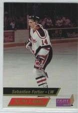 1993-94 Wheeling Thunderbirds (ECHL) Sebastien Fortier