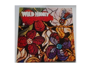 The Beach Boys - Wild Honey - LP - Japan Press - Picture 1 of 4