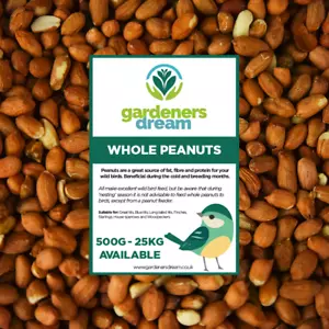 GardenersDream Whole Peanuts - Fresh Premium Wild Bird Seed Garden Food Nut Feed - Picture 1 of 48