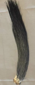 8.25”- 10+” Wild Turkey Beard - Picture 1 of 1