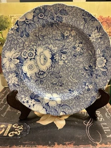 SPODE-9” Plato de Cena-PRIMULA-Flores Azules y Blancos-Hecho en Inglaterra~Hermoso~ - Imagen 1 de 6