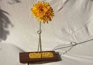 Design Vasen aus edlem Nussholz für eine Blume (4 Stk. Packung) - Bild 1 von 1