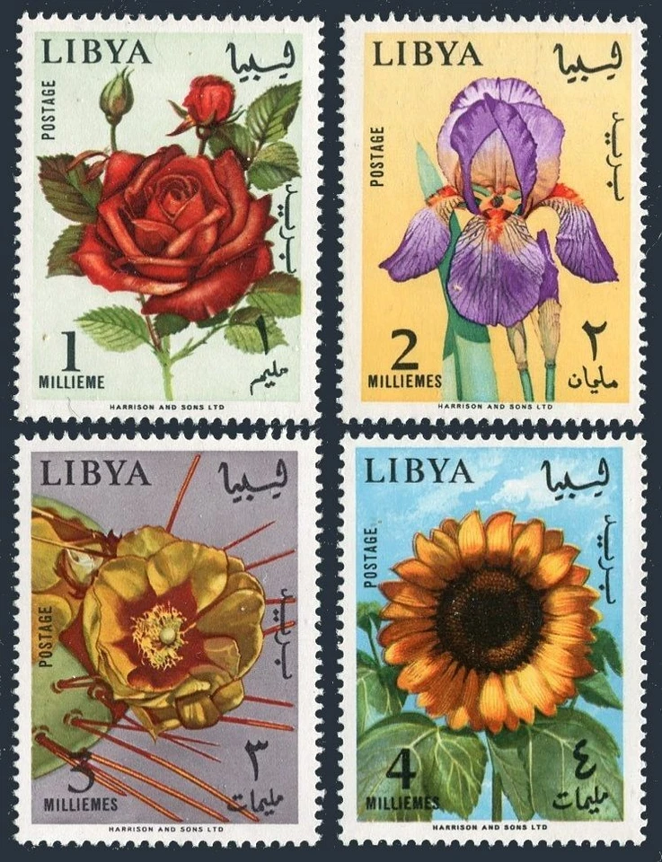 Libya 284-287, MNH. Michel 193-196. Flowers 1965. Rose, Iris, Opuntia,Sunflower. - Image 1 of 1