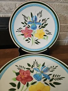 (4) VTG TRENTON NJ STANGL POTTERY 10" COUNTRY GARDEN HAND PAINTED DINNER PLATES - Picture 1 of 8