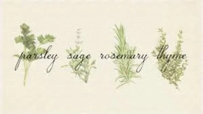 Parsley, Sage, Rosemary, Thyme Seed Set, Culinary Herbs,Packaged For Gift Giving - Image 1 of 4