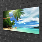 Wandbilder aus Plexiglas® 100x50 Acrylglasbild Palme Strand Meer Landschaft