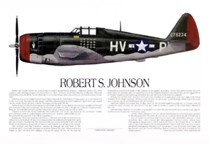 P-47, signed by Thunderbolt Ace, Robert Johnson, Artist Ernie Boyette - Picture 1 of 5