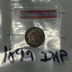 1899 Indian Head Penny IHP Great Shape See Pics COBM-7650 - Picture 1 of 6