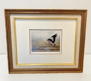 Gerahmter Kunstdruck Großer Blaureiher signiert Don Li Leger Vancouver kanadischer Nachlass - Bild 1 von 24