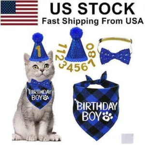 Cat Birthday Party Supplies Hat Tie Collar Birthday Number Decoration for Kitten - Picture 1 of 8