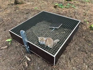 Auslösesystem einzeln für Kofferfalle für Fuchs, Waschbär, etc. Kieferle 000.028 - Bild 1 von 6