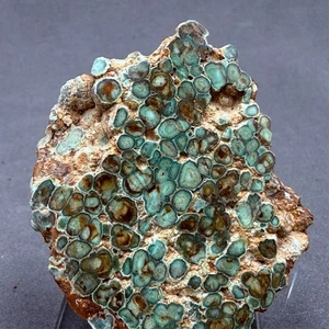 VARISCITA Palazuelo de las cuevas Zamora ESPAÑA MINERALES COLECCION 5x4x2cms B20 - Imagen 1 de 6