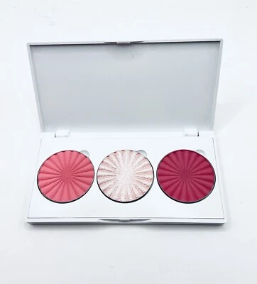 OFRA MIDI PALETTE BLOSSOM BLUSH PINK SATIN PILLOW TALK PARADISE PINK - Image 1 of 4