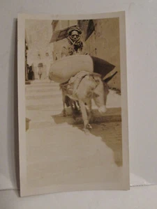 VINTAGE FOUND PHOTOGRAPH B&W OLD PHOTO 1930S JERUSALEM ISRAEL MAN ON DONKEY MULE - Picture 1 of 4