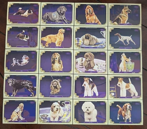 2024 Topps Allen & Ginter Stars of the Show/Westminster Complete Set(40) Dogs - Picture 1 of 2