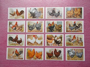 GEFLÜGEL POSTKARTEN - 16ER SET - Bild 1 von 1