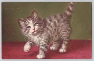 Tabby Kitten Cat Illustration Postcard Printed in Switzerland - Picture 1 of 3