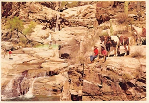 Postal AZ: Seven Falls, Catalina Mountains, Tucson, Arizona, 4x6 - Imagen 1 de 2