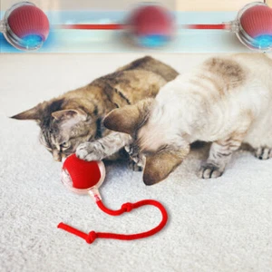 Automatic Rolling Ball Smart Cat Dog Toy Electric Pet Self-moving Kitten Game US - Picture 1 of 15