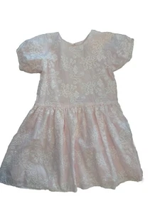 Chasing Fireflies Pink Floral Embroidered Twirl Spring Easter Dress Size 6-6XNEW - Picture 1 of 8