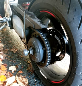 TRIUMPH DAYTONA 595 T595 955i HINTERACHSE CRASH PILZ PROTEKTOREN SLIDER OGGYS - Bild 1 von 10